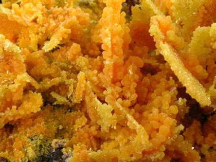Mimetite pseudomorphs after Wulfenite from San Francisco Mine, Cucurpe, Mexico