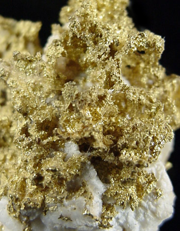 Gold in Quartz from Grass Valley District, Nevada County, California