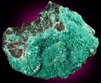 Aurichalcite from 79 Mine, Banner District, near Hayden, Gila County, Arizona