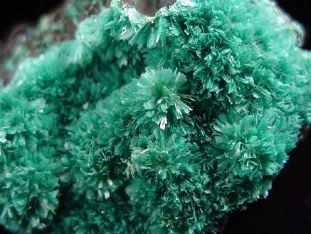 Aurichalcite from 79 Mine, Banner District, near Hayden, Gila County, Arizona