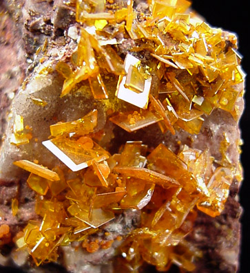 Wulfenite from Rowley Mine, 20 km northwest of Theba, Painted Rock Mountains, Maricopa County, Arizona