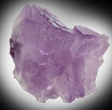 Fluorite from La Cabaa, Punta Arrobado, north of Berbes, Ribadesella, Asturias, Spain