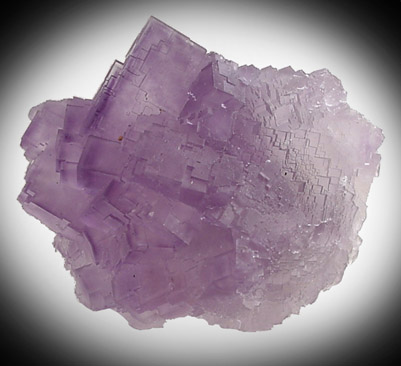 Fluorite from La Cabaa, Punta Arrobado, north of Berbes, Ribadesella, Asturias, Spain