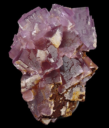 Fluorite, Quartz, Goethite from La Cabaña, Punta Arrobado, north of Berbes, Ribadesella, Asturias, Spain