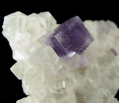 Fluorite on Quartz from Caravia-Berbes District, Asturias, Spain