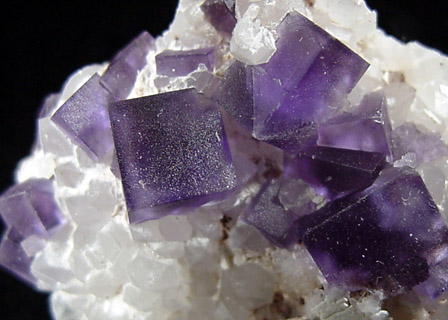 Fluorite on Quartz from Caravia-Berbes District, Asturias, Spain