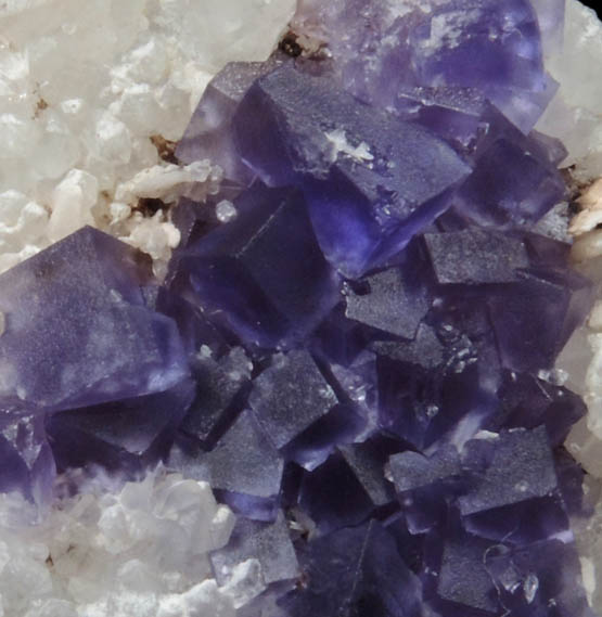 Fluorite on Quartz from Caravia-Berbes District, Asturias, Spain