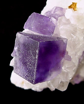 Fluorite on Quartz from Caravia-Berbes District, Asturias, Spain