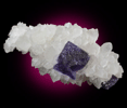 Fluorite on Quartz from Caravia-Berbes District, Asturias, Spain