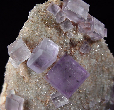 Fluorite on Quartz from Caravia-Berbes District, Asturias, Spain