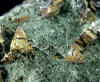 Chalcopyrite, Magnetite in Actinolite from French Creek Iron Mine, St. Peters, Chester County, Pennsylvania