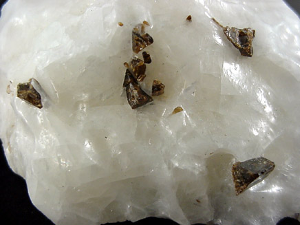 Dravite Tourmaline from H.T. Campbell Quarry, Texas, Baltimore County, Maryland