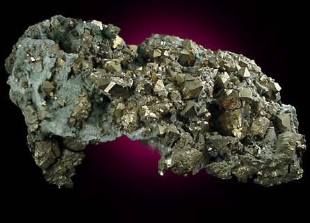 Pyrite in Actinolite from French Creek Iron Mine, St. Peters, Chester County, Pennsylvania