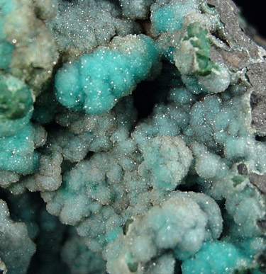 Chrysocolla with drusy Quartz from Inca de Oro, Copiapo, Chile