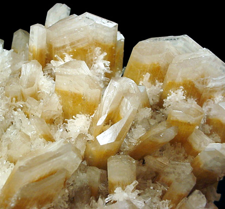 Gypsum var. Selenite from near Swan Hill, Victoria, Australia