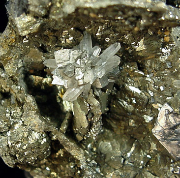 Arsenopyrite, Sphalerite, Pyrite, Quartz from Stari Trg Mine, Trepca, Serbia