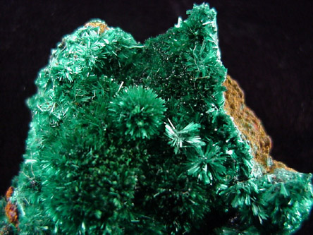 Brochantite from Grandview Mine, Coconino County, Arizona