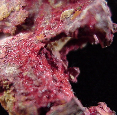 Cuprite var. Chalcotrichite on Native Copper from Ray Mine, Pinal County, Arizona