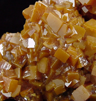 Wulfenite from Villa Ahumada, Sierra de Los Lamentos, Chihuahua, Mexico