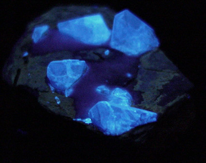 Benitoite in Natrolite from Benitoite Gem Mine, San Benito County, California (Type Locality for Benitoite)