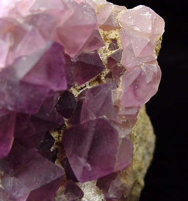 Fluorite from Emerald Mine, Luna County, New Mexico