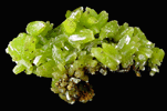 Pyromorphite from San Luis Mine, Guazapares, Chihuahua, Mexico