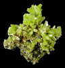 Pyromorphite from San Luis Mine, Guazapares, Chihuahua, Mexico