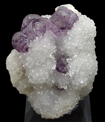 Fluorite on Quartz from Climax Open Pit Mine, Leadville, Colorado