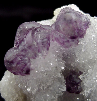 Fluorite on Quartz from Climax Open Pit Mine, Leadville, Colorado