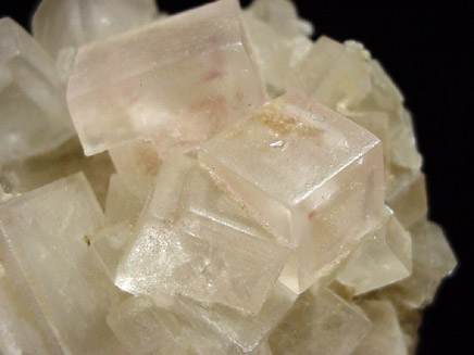 Halite from Searles Lake, east of Trona, San Bernardino County, California