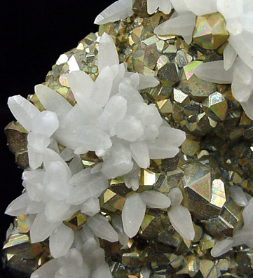 Pyrite with Milky Quartz from Magma Mine, Superior District, Pinal County, Arizona