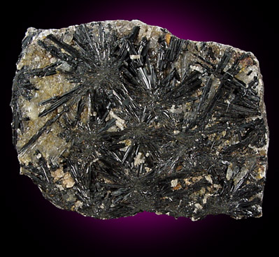 Schorl Tourmaline var. Tourmaline Suns from Argentina