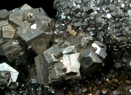 Pyrite from Rico District, Delores County, Colorado
