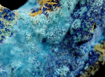 Cyanotrichite with Azurite from Peacock Mine, Leadore, Idaho