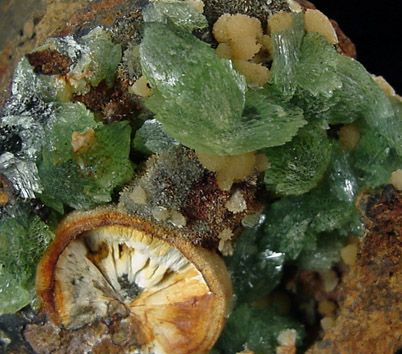 Anapaite from Kerch, Krym Peninsula, Ukraine