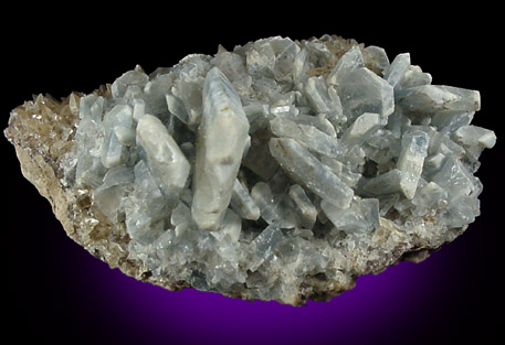 Celestine from Woodville, Sandusky County, Ohio