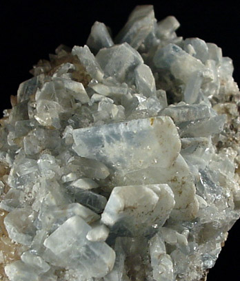 Celestine from Woodville, Sandusky County, Ohio