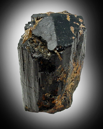 Schorl Tourmaline from Westtown School, Westtown, Chester County, Pennsylvania