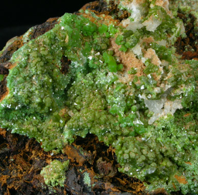 Pyromorphite and Quartz from Wheatley Mine, Phoenixville, Chester County, Pennsylvania