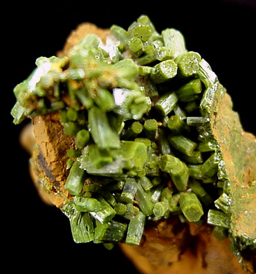 Pyromorphite from Wheatley Mine, Phoenixville, Chester County, Pennsylvania