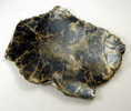 Vermiculite var. Jefferisite from Brinton's Quarry, Chester County, Pennsylvania
