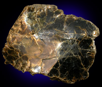 Vermiculite var. Jefferisite from Brinton's Quarry, Chester County, Pennsylvania