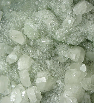 Datolite on Prehnite from New Street Quarry, Paterson, Passaic County, New Jersey