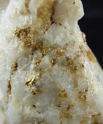 Gold in Quartz from El Dorado County, California