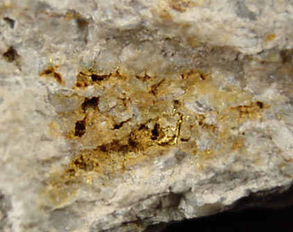 Gold in Quartz from Buckhorn Mine, Boundary County, Idaho