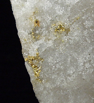 Gold in Quartz from El Dorado County, California