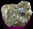 Molybdenite with Pyrite from Squaw Peak, south of Camp Verde, Yavapai County, Arizona