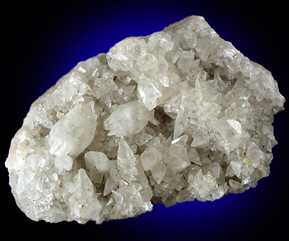 Calcite on Fossilized Coral from Madison, Jefferson County, Indiana