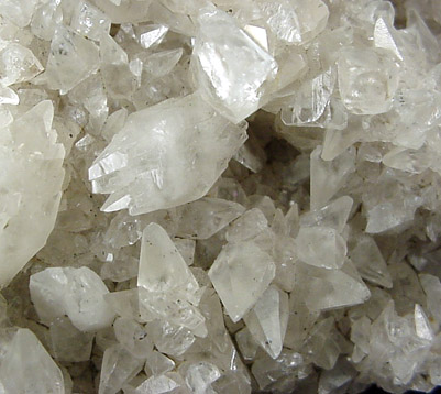 Calcite on Fossilized Coral from Madison, Jefferson County, Indiana