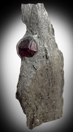 Almandine Garnet in Graphite from Erving, Franklin County, Massachusetts